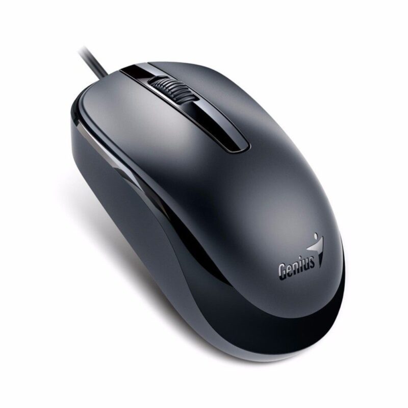 MOUSE GENIUS DX-120 USB NEGRO